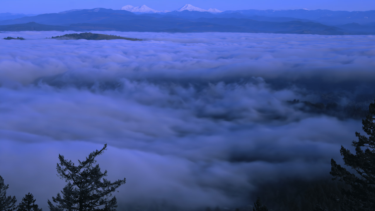 Beyond trees on a high ridge, fog pours over