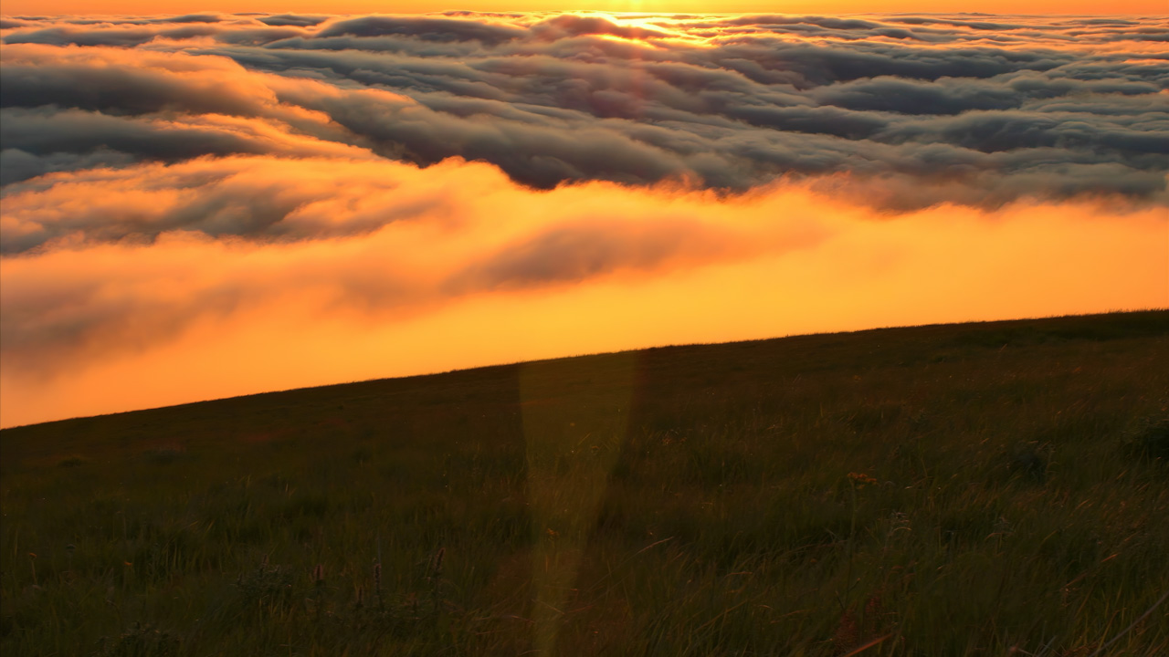 4 of 4 | Fast fog bank rolling on alpine meadow late day