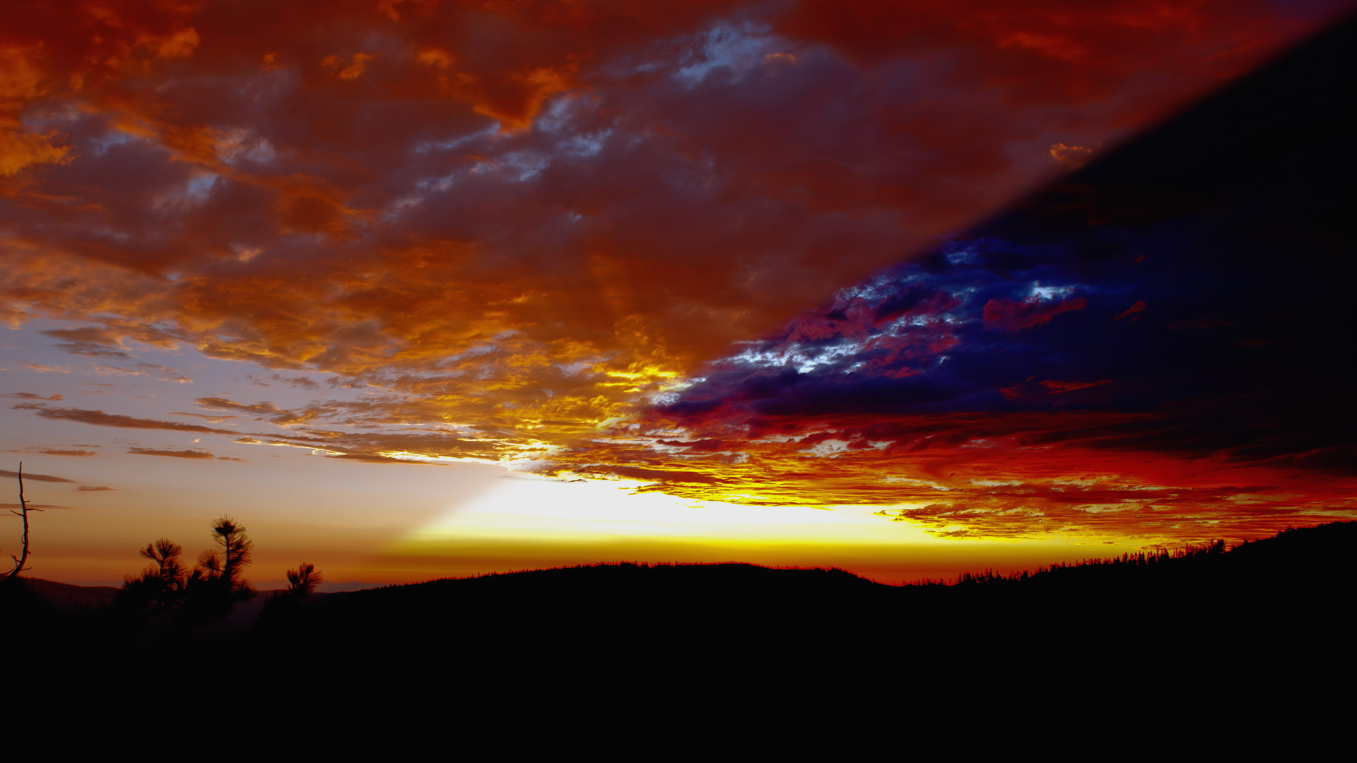 Alto, cirrocumulus above while panning on the wild…