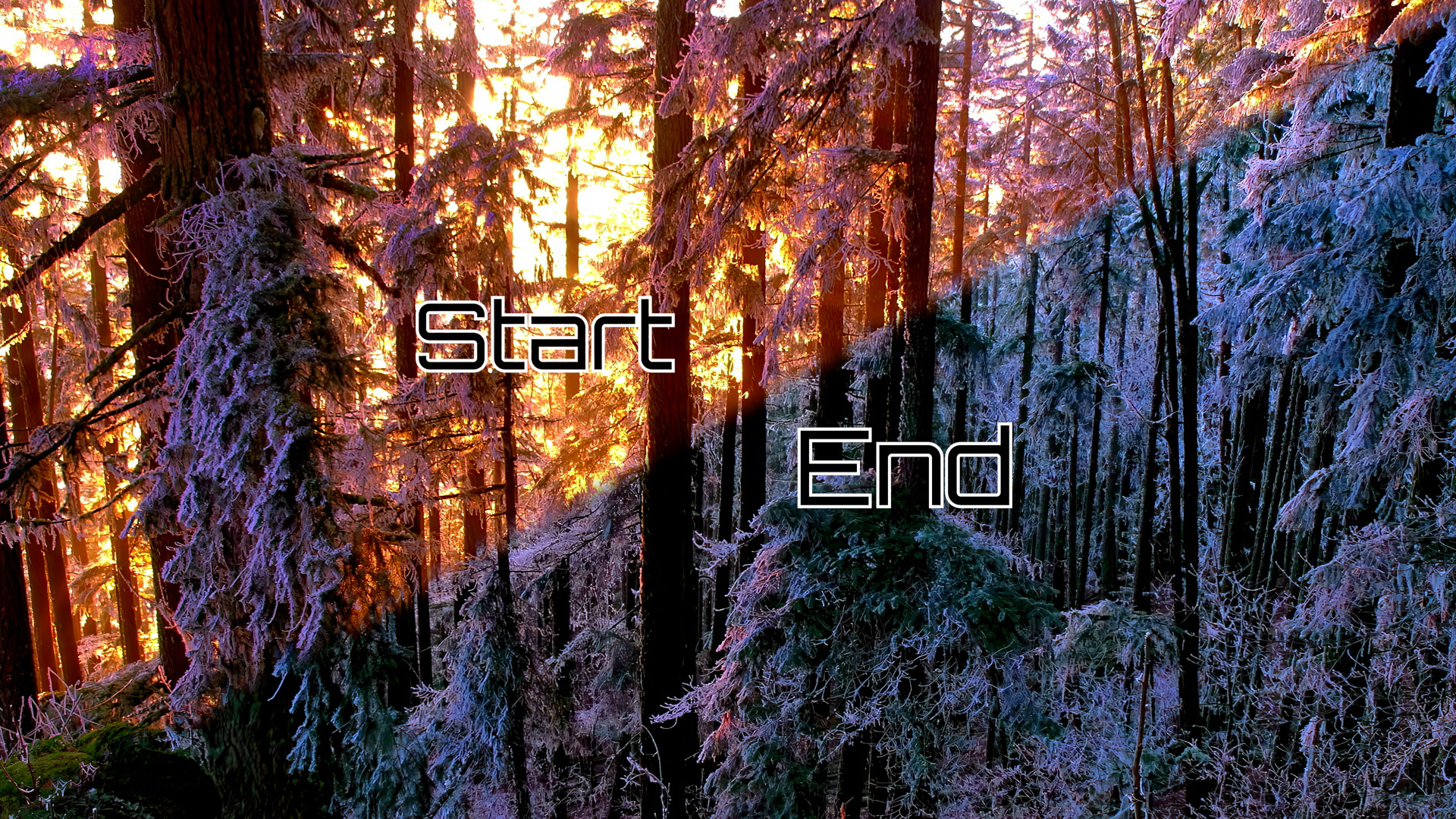 1 of 2 | A snowy and frosted forest hill is brightly lit up at sunset