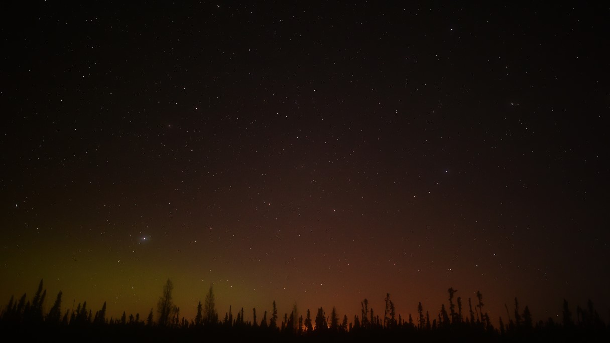 The Boreal forest in Canada at night